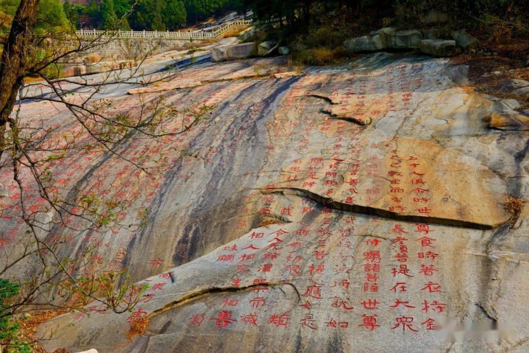 开年新设客群部门，招行零售架构持续调整背后逻辑何在？
